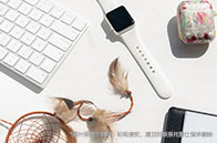 2024加拿大綜合類大學排名解析