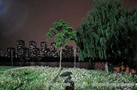滑鐵盧大學(xué)計(jì)算數(shù)學(xué)碩士入學(xué)條件有哪些？