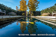 南洋理工大學(xué)對(duì)外漢語(yǔ)教學(xué)碩士錄取難度