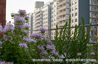 重磅！謝菲爾德大學榮獲2024年度最佳大學