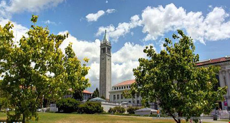 加州大學伯克利分校強勢專業.png