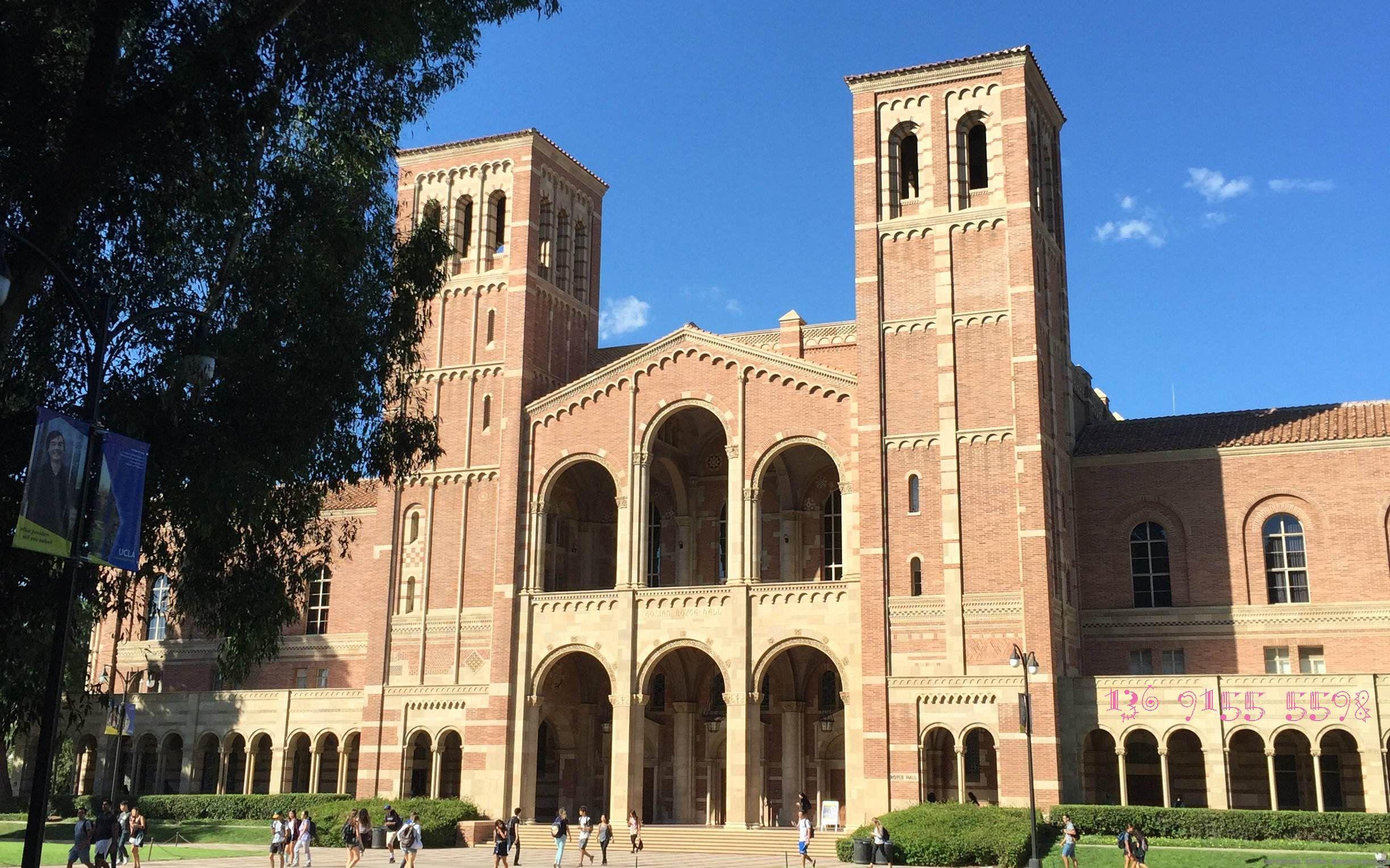 弗吉尼亞理工大學排名