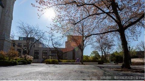美國研究生教育學院大學排名