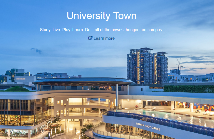 新加坡國立大學.png