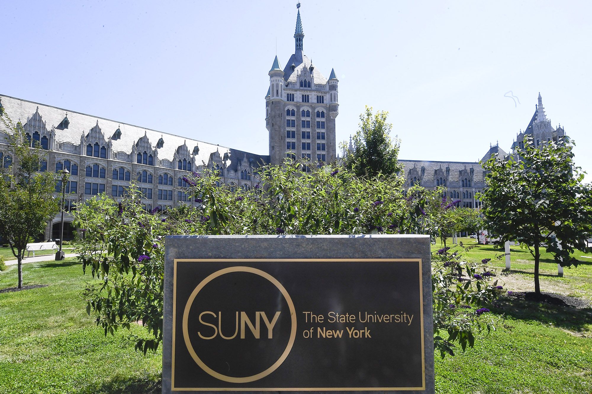 紐約州立大學.jpg