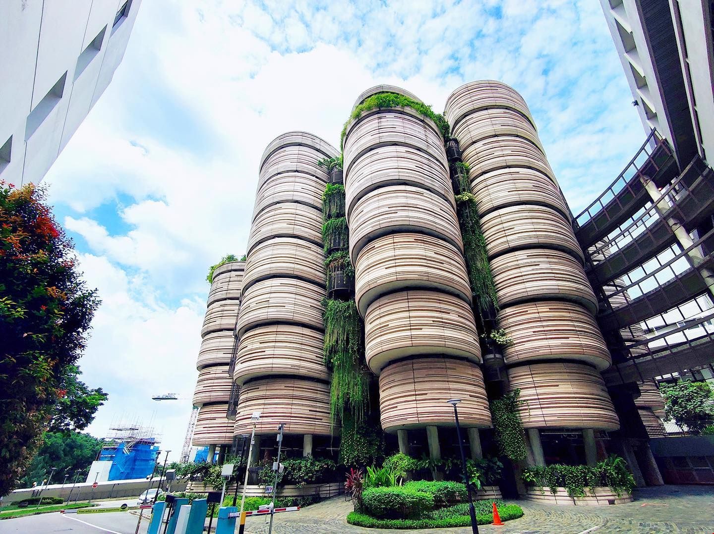 南洋理工大學研究生.jpg